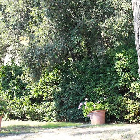 Villetta La Pineta Latignano Exterior photo