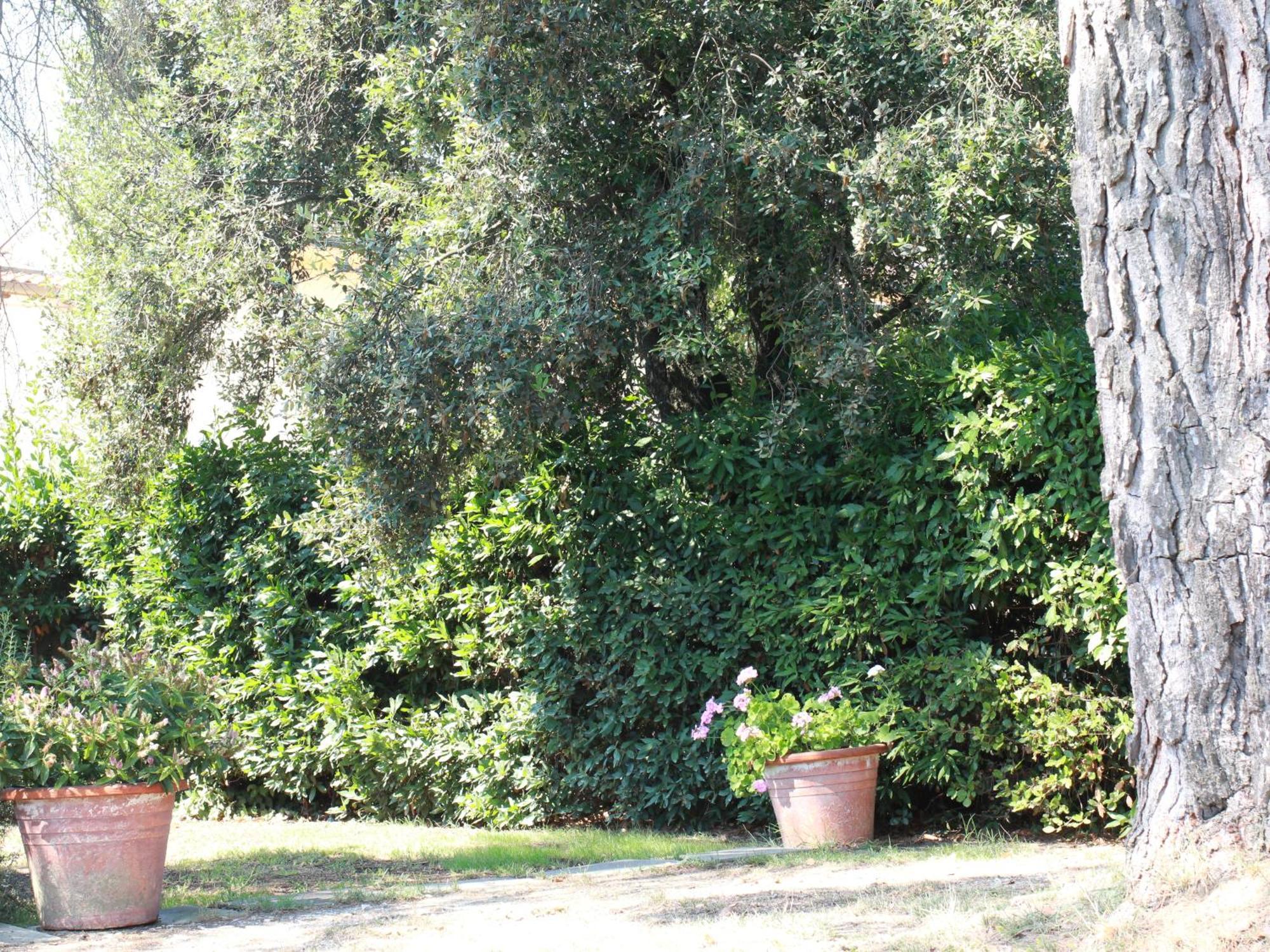 Villetta La Pineta Latignano Exterior photo