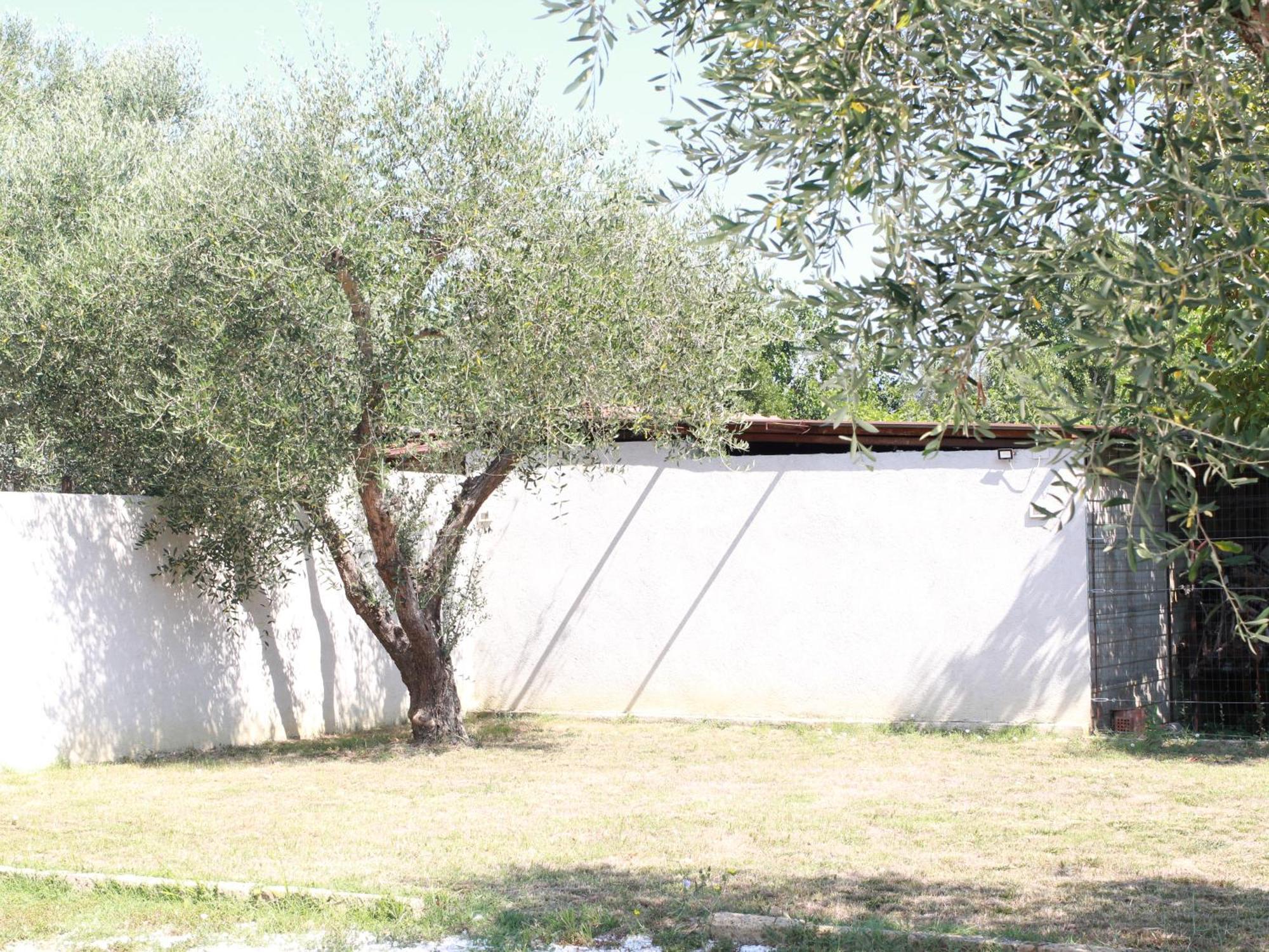 Villetta La Pineta Latignano Exterior photo